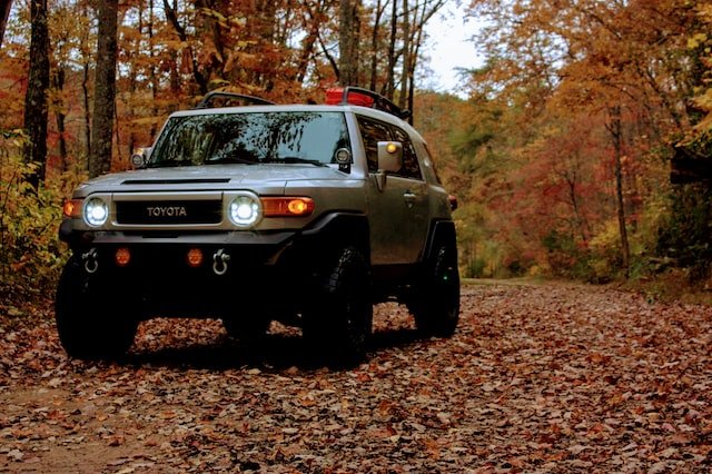 rijden in de herfst