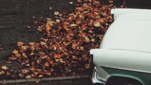 Rijden in herfst